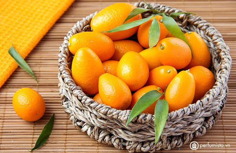 68747470733a2f2f73332e616d617a6f6e6177732e636f6d2f776174747061642d6d656469612d736572766963652f53746f7279496d6167652f376f6e4a33723630395f424647773d3d2d3639363238383233312e313538343032363037383035666536 Kim quất