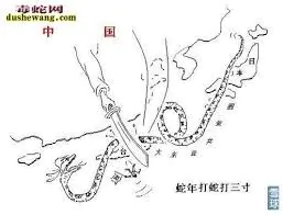 68747470733a2f2f73332e616d617a6f6e6177732e636f6d2f776174747061642d6d656469612d736572766963652f53746f7279496d6167652f6375614a427975345954637945773d3d2d3637393538383436372e313537383837613561383163336561 Rắn độc giãy giụa hai cái liền bất động